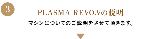 PLASMA REVO.Vの説明