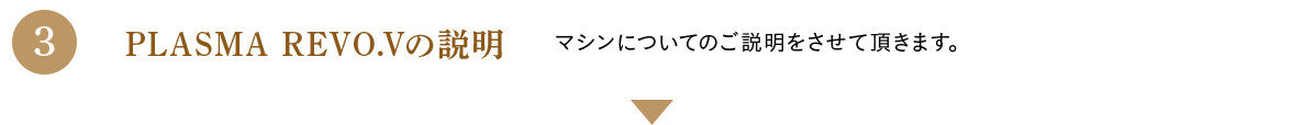 PLASMA REVO.Vの説明