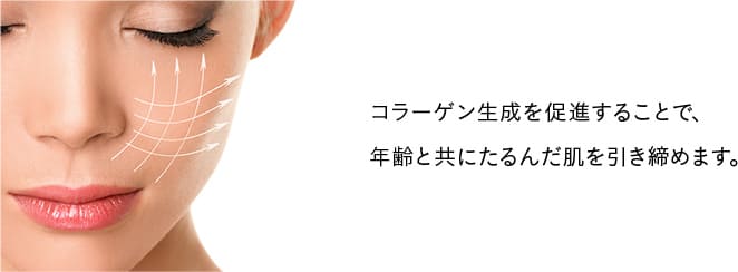 コラーゲン生成を促進