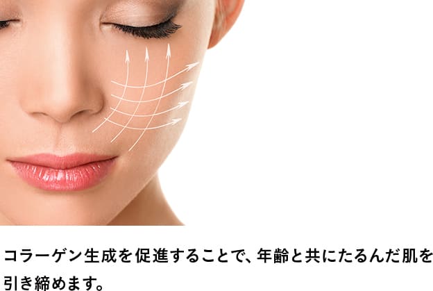コラーゲン生成を促進