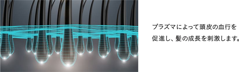 頭皮の血行促進