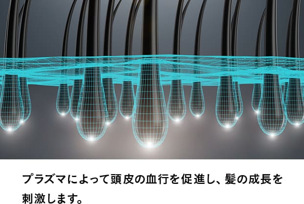 頭皮の血行促進