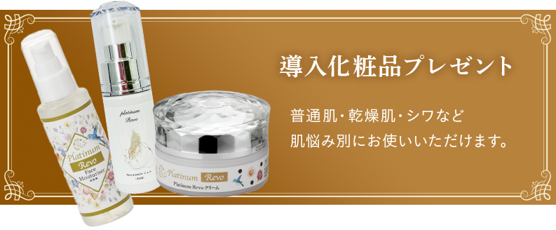 導入化粧品プレゼント